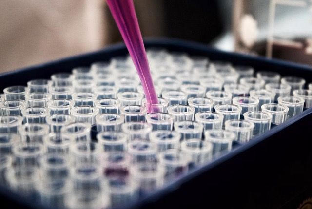 Cara Mengumpulkan Responden untuk Metode Purposive Sampling
