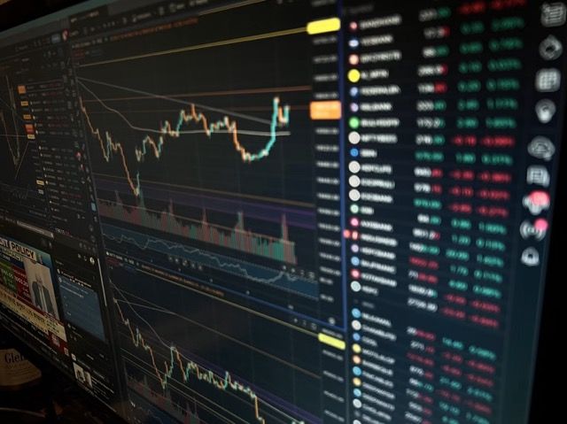 Dari Data Primer ke Economic Insight: Bagaimana Jasa Sebar Kuisioner Mengurangi Uncertainty dalam Keputusan Bisnis